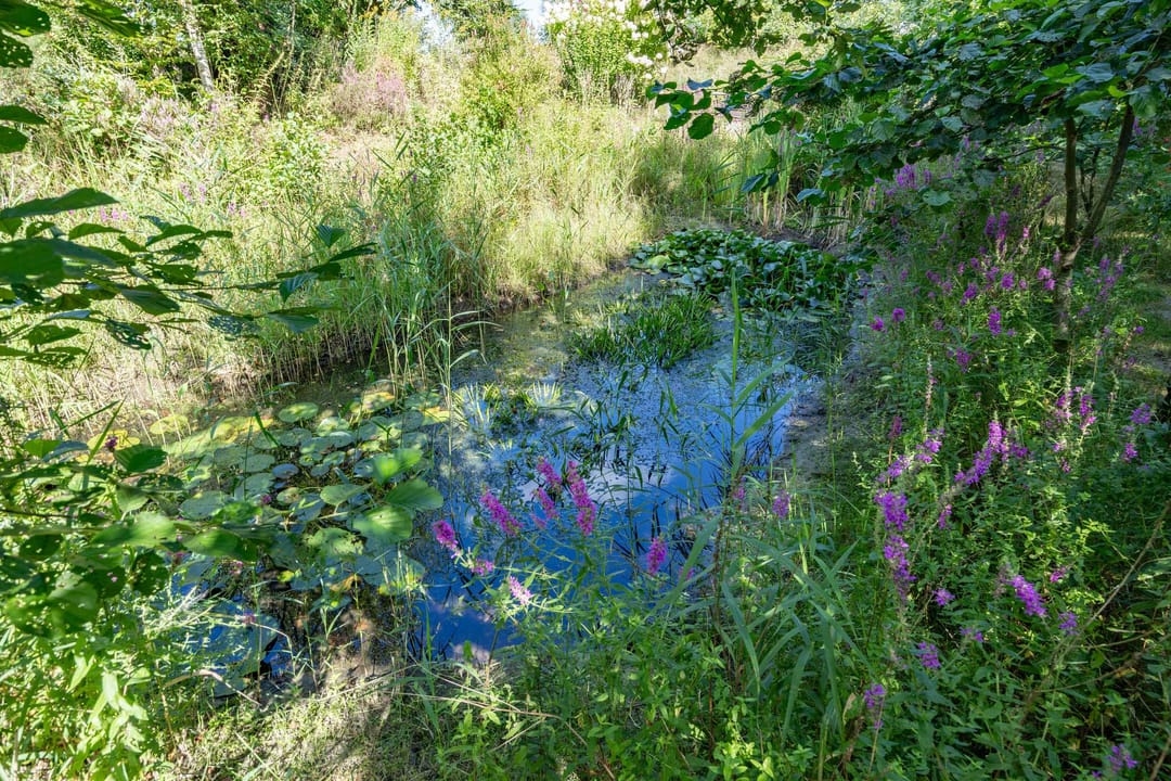 Photo 112 of Boelewijk 5