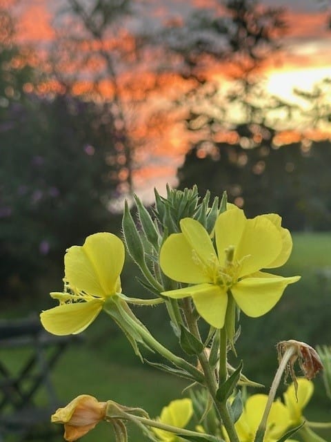 Foto 113 van Boelewijk 5