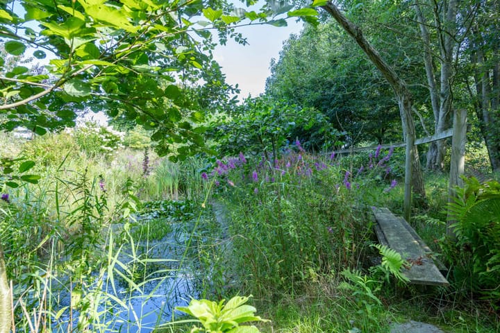 Foto 114 van Boelewijk 5