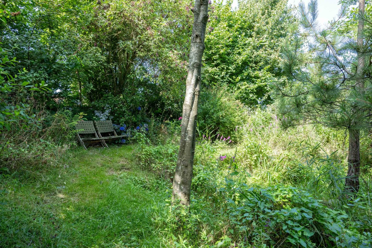 Photo 115 of Boelewijk 5