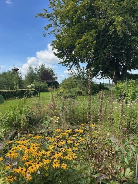 Foto 122 van Boelewijk 5