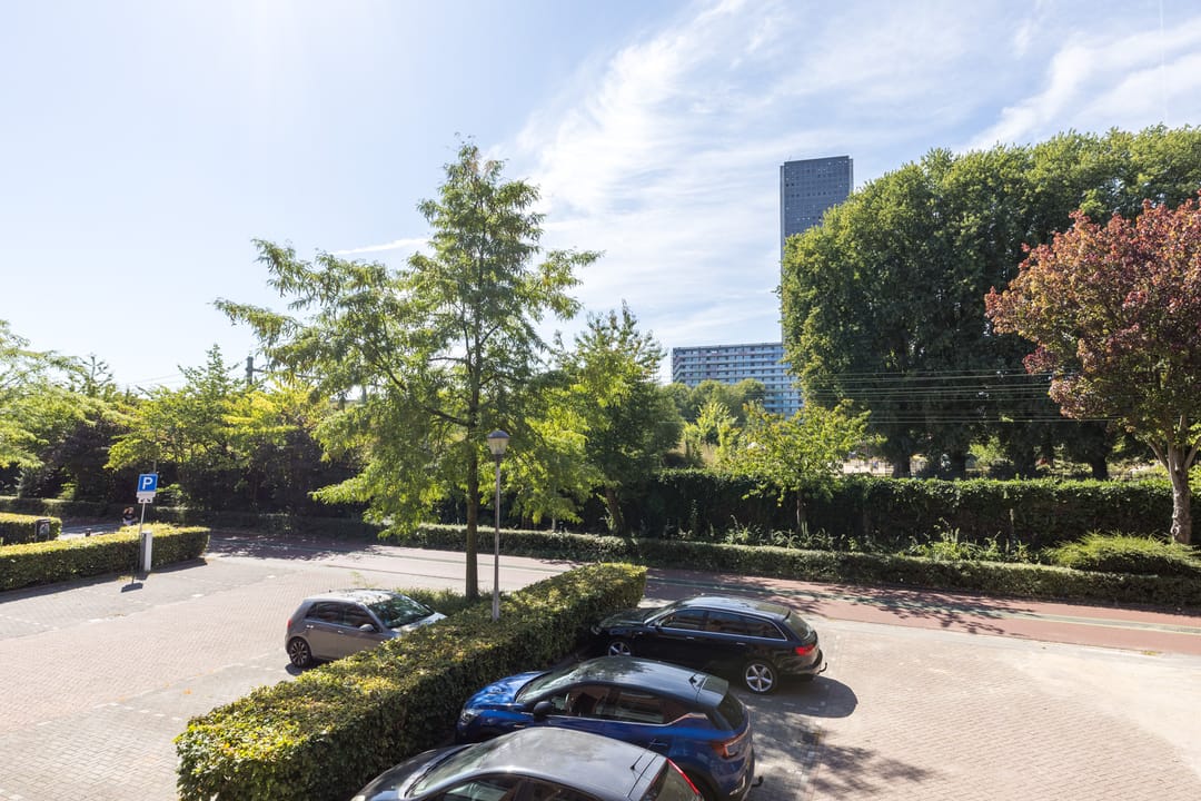 Foto 31 van Alleenhouderstraat 115-23