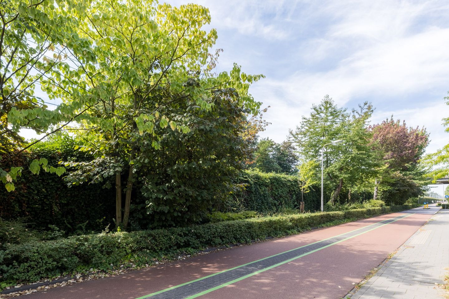 Foto 35 van Alleenhouderstraat 115-23