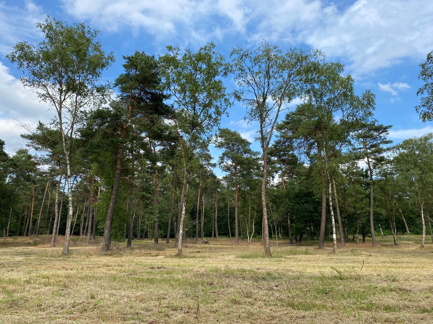 View photo 2 of Zeisterweg