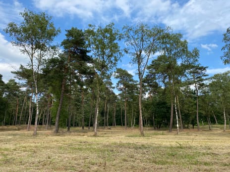 View photos
