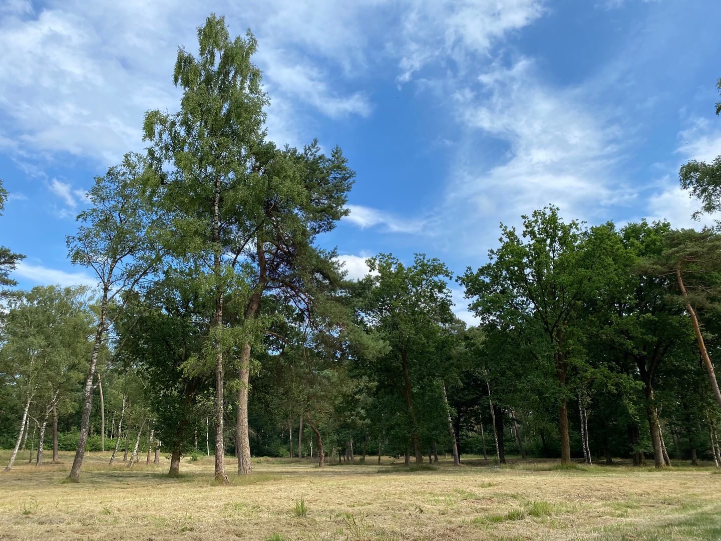 View photo 4 of Zeisterweg