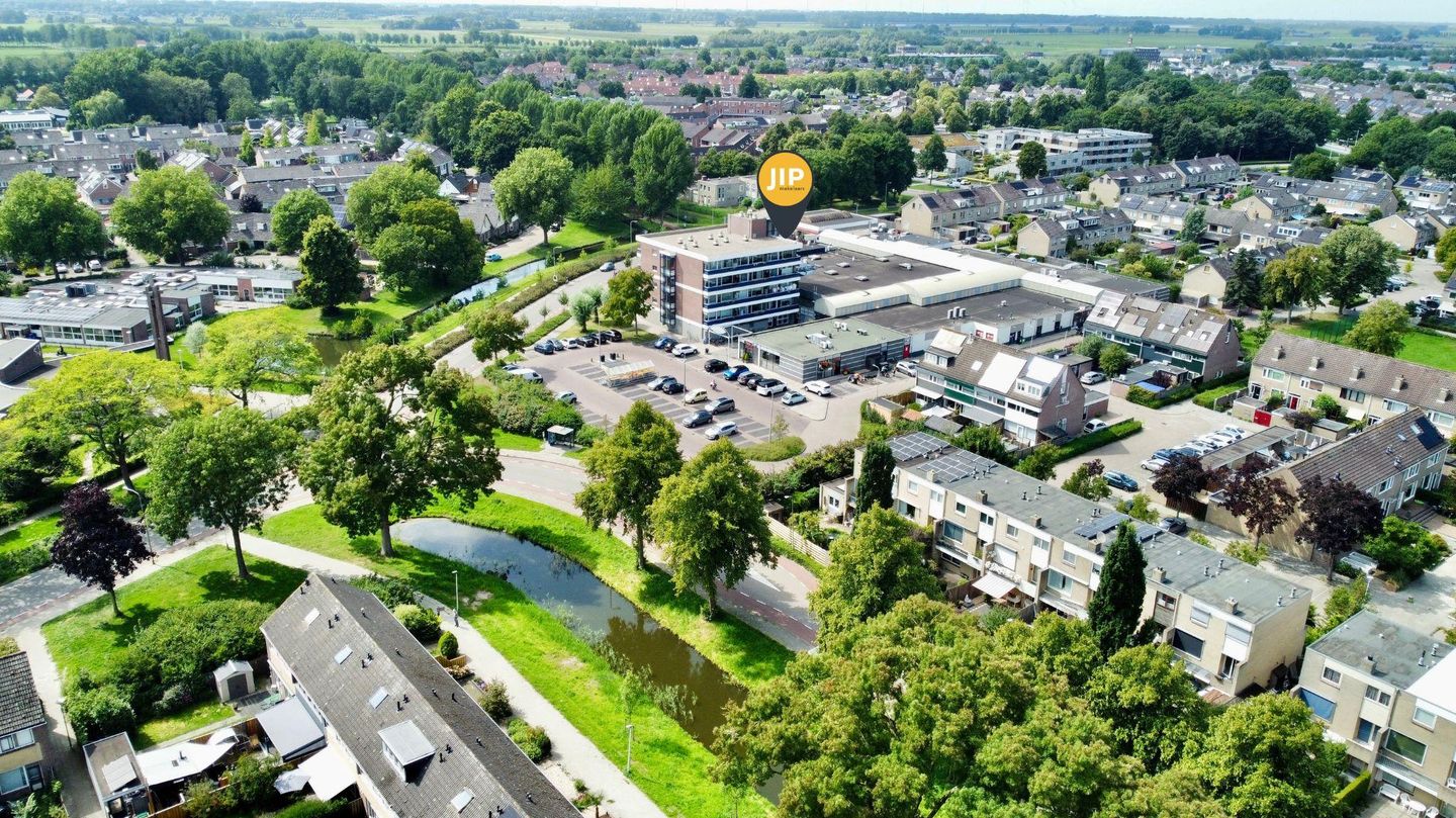 Foto 1 van Penningkruid 24