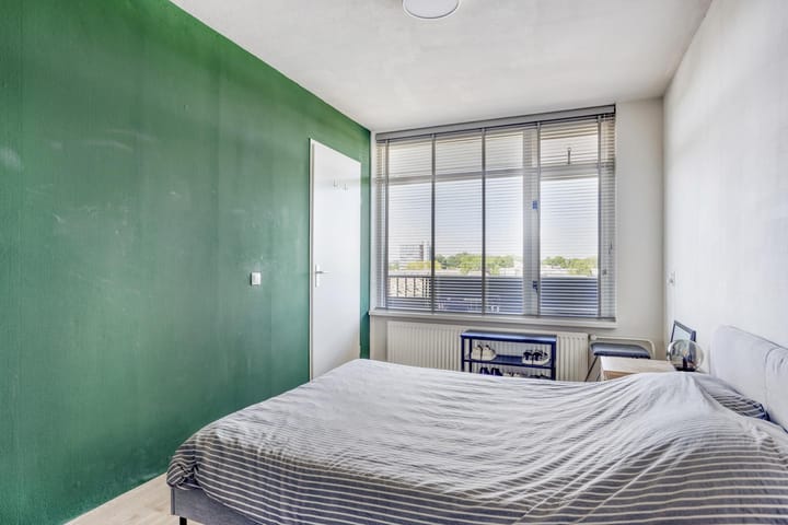 Foto 11 van Penningkruid 24