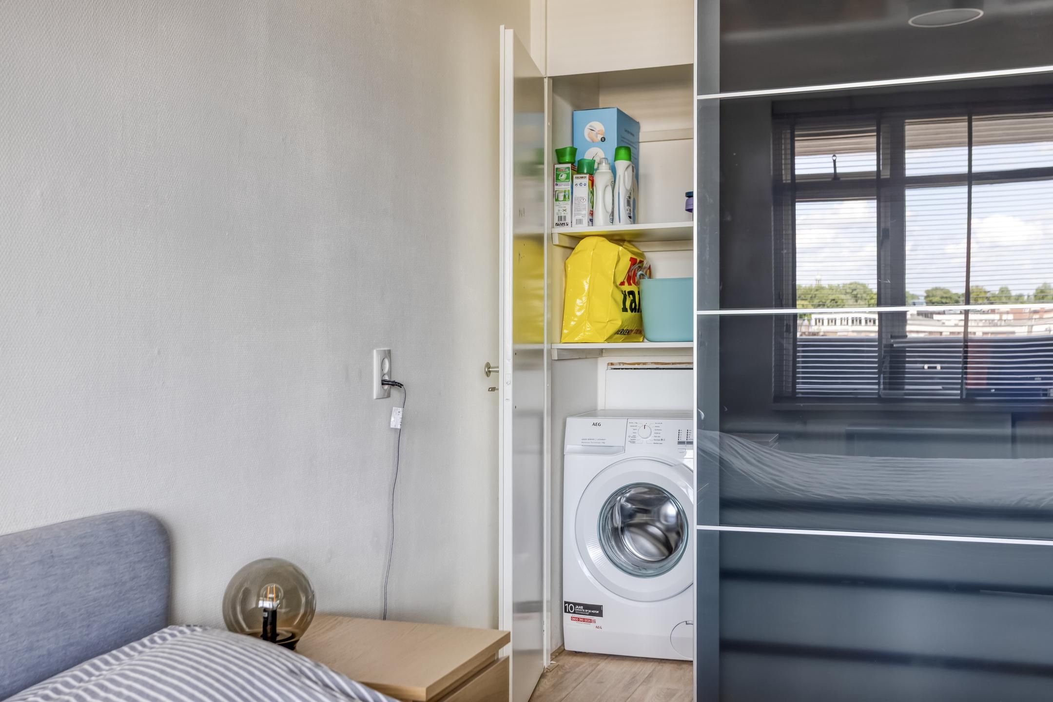 Foto 12 van Penningkruid 24