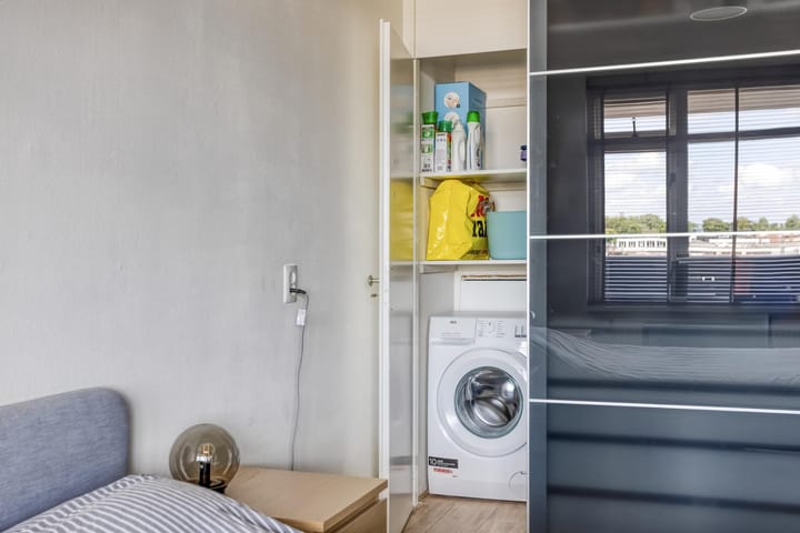 Foto 12 van Penningkruid 24