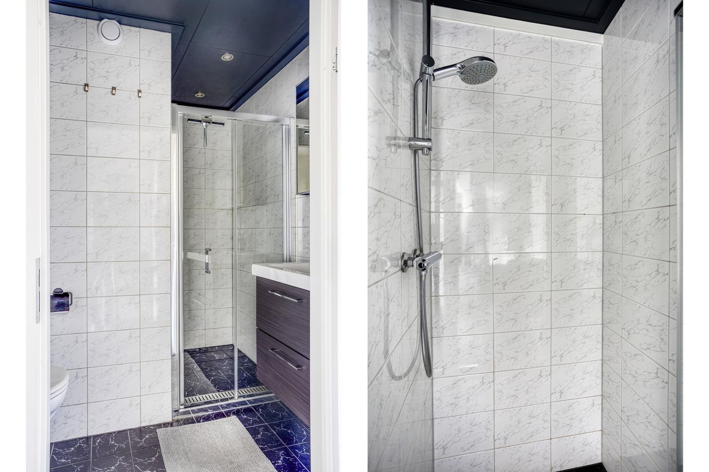 Foto 14 van Penningkruid 24