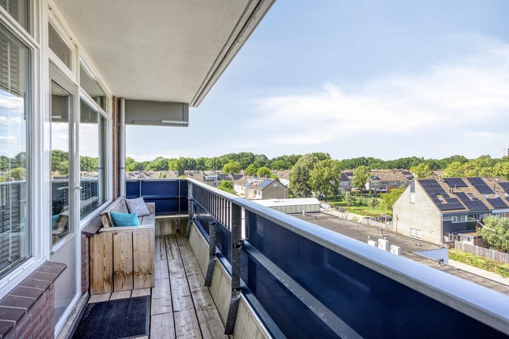 Foto 15 van Penningkruid 24