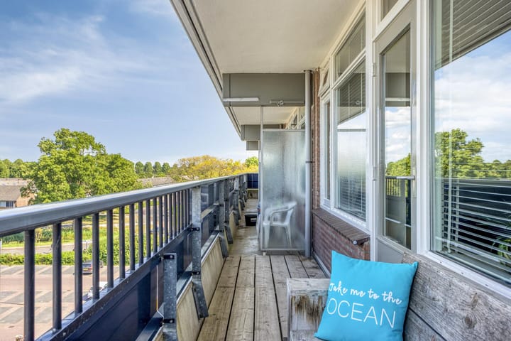 Foto 16 van Penningkruid 24