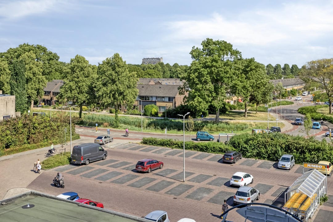 Foto 17 van Penningkruid 24