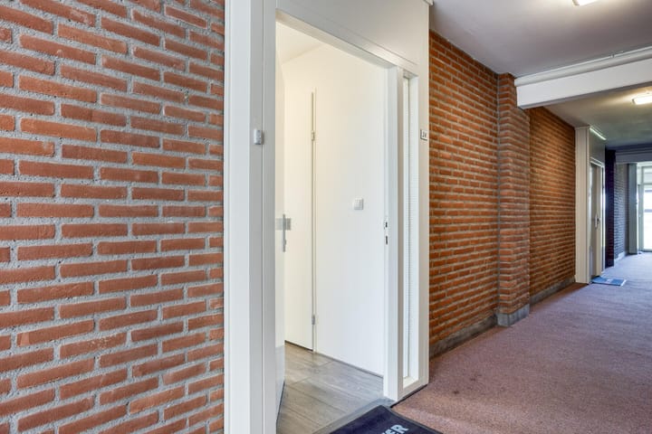 Foto 18 van Penningkruid 24