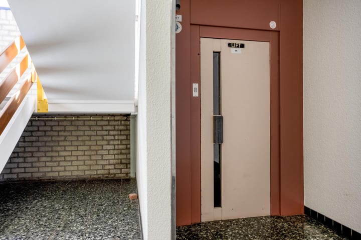 Foto 19 van Penningkruid 24