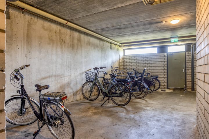 Foto 20 van Penningkruid 24