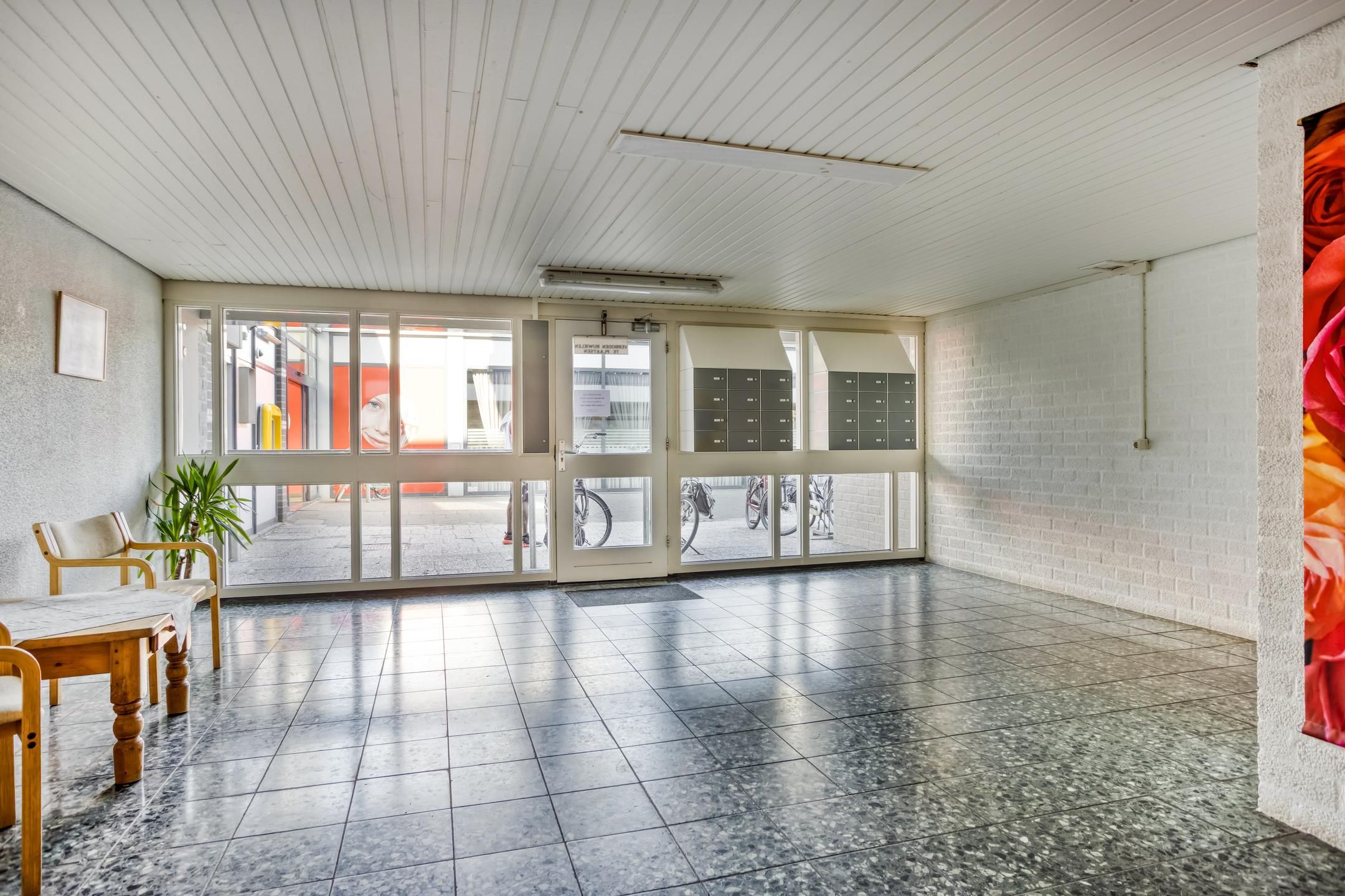 Foto 21 van Penningkruid 24