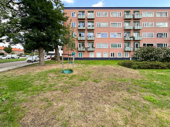 Foto 21 van Ligusterstraat 127