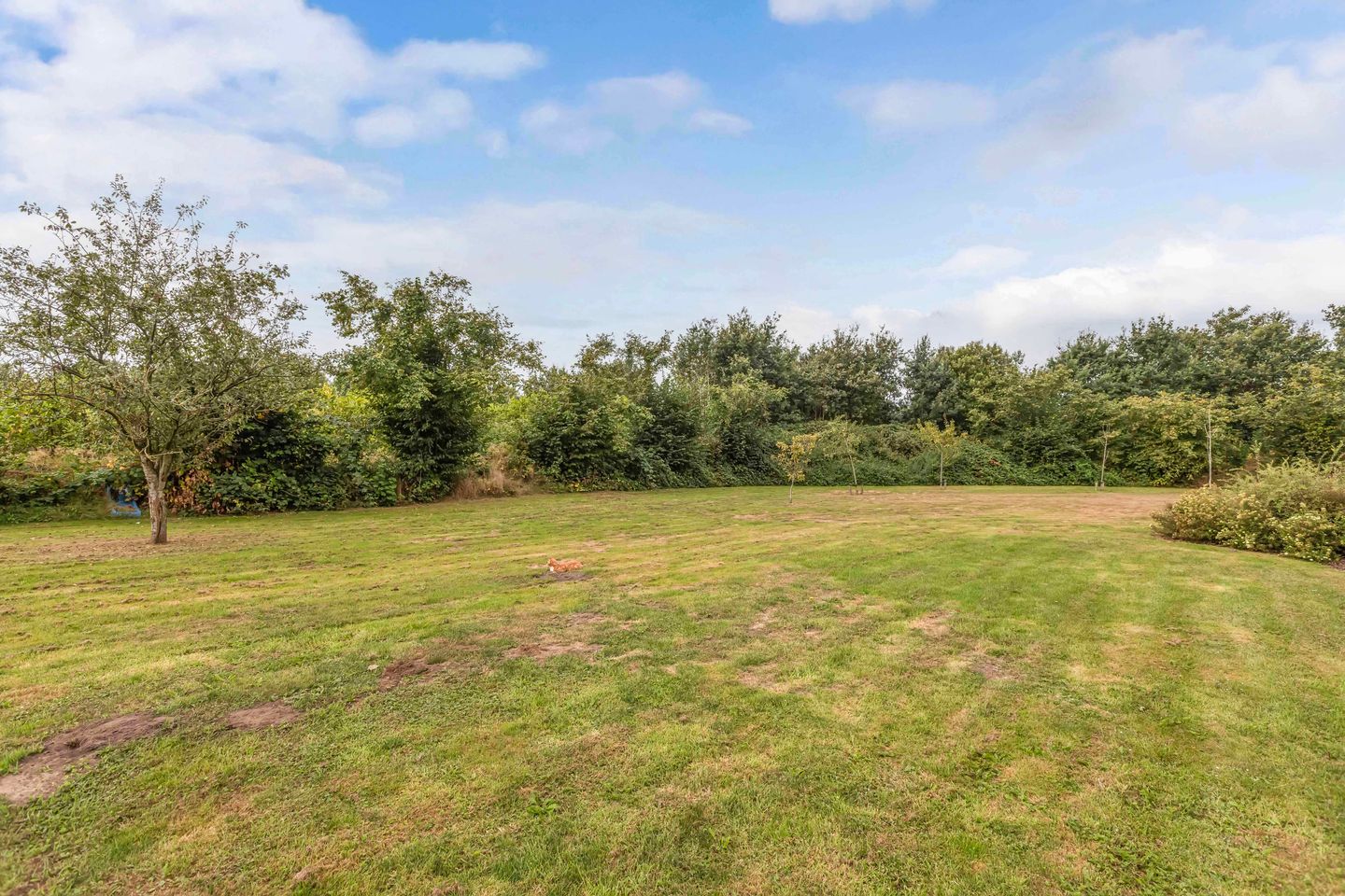 Foto 64 van Löhnislaan 6