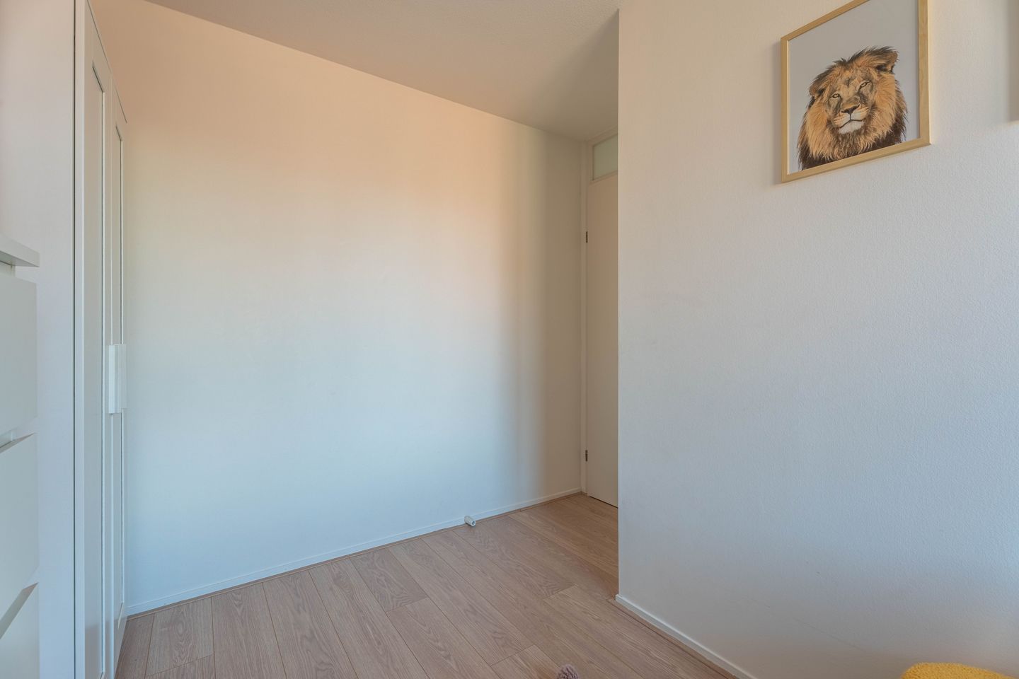 Foto 19 van Israelsstraat 14