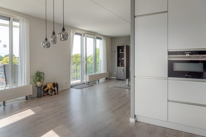 Foto 9 van Professor Vitringastraat 32