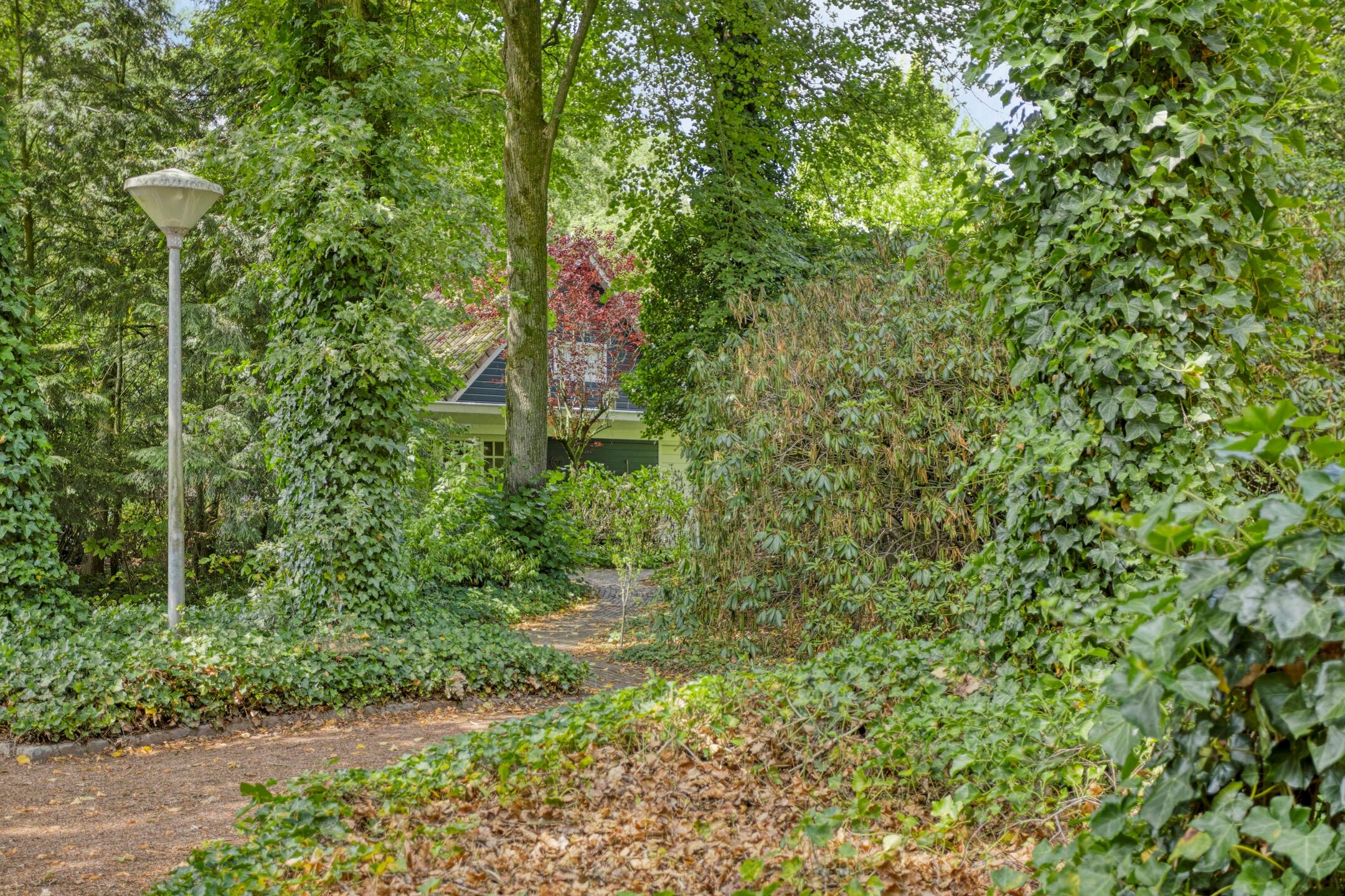 Foto 39 van ten Brakeweg 30