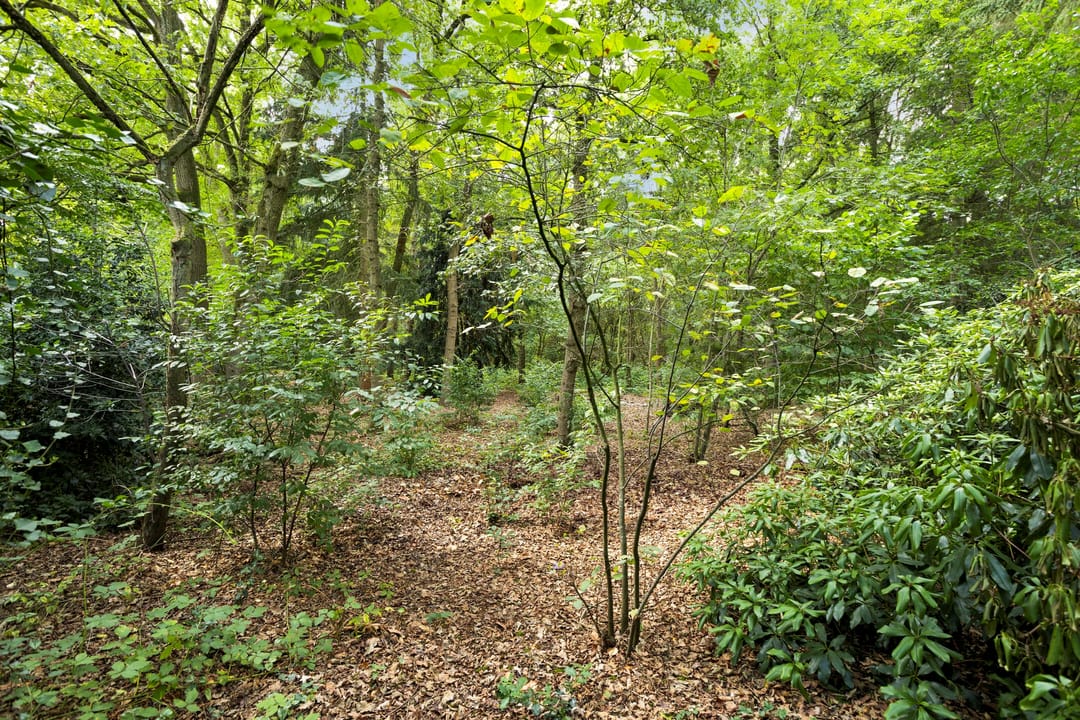 Foto 41 van ten Brakeweg 30