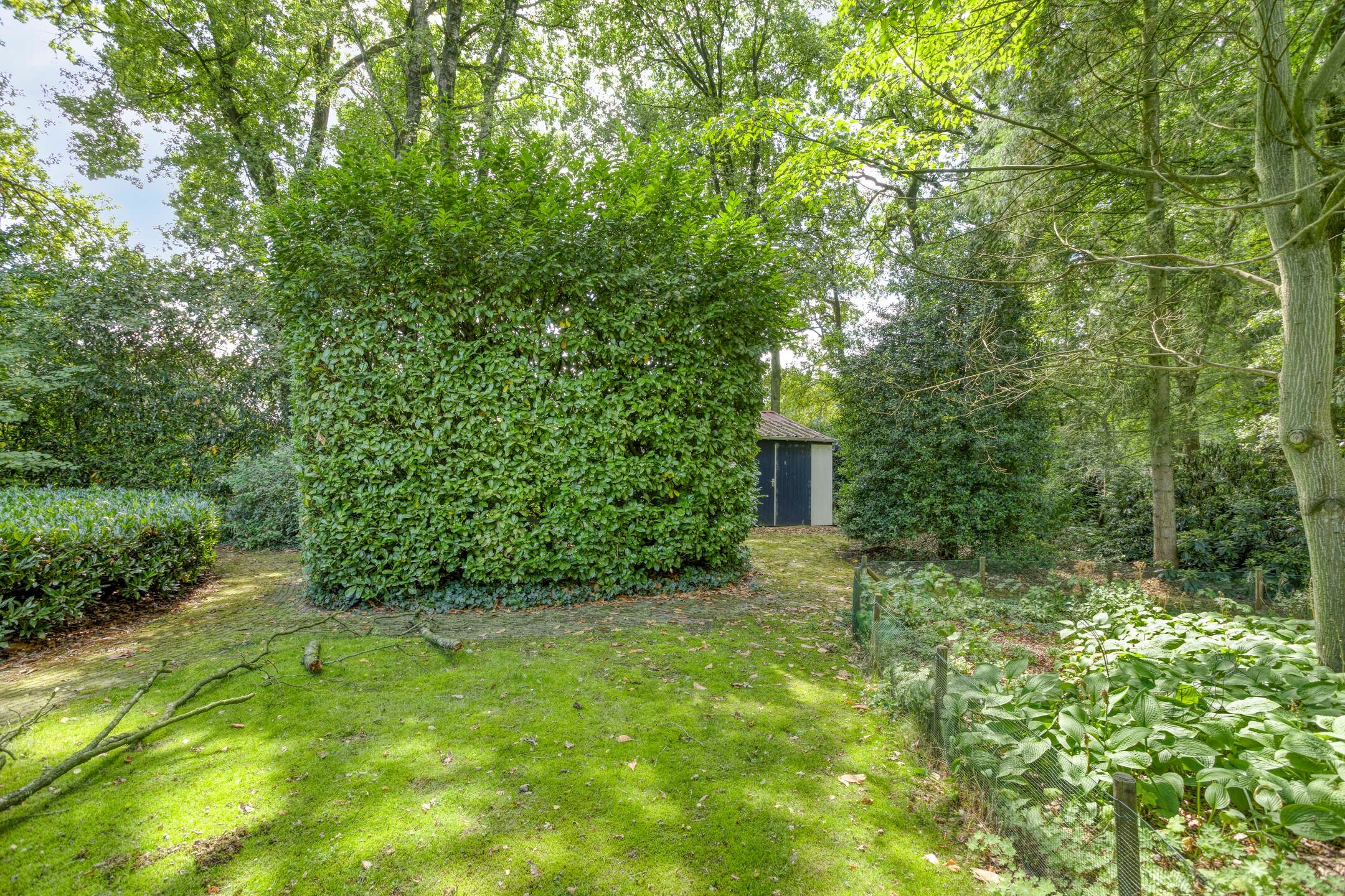 Foto 42 van ten Brakeweg 30