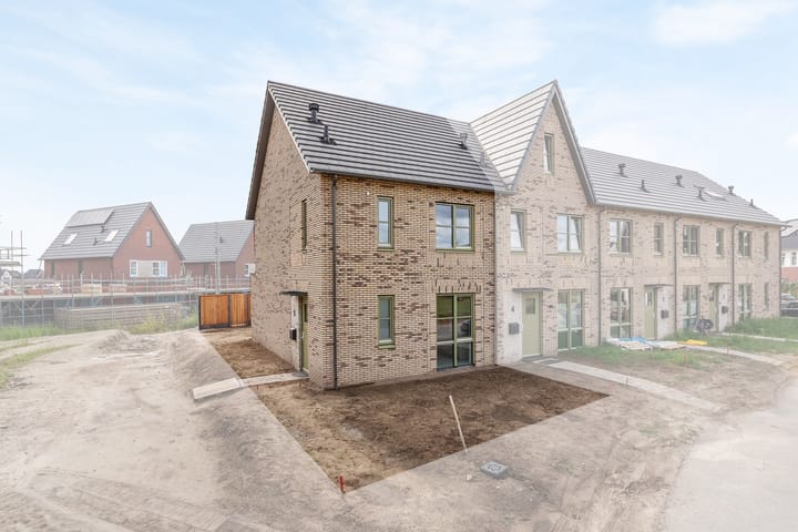 Foto 2 van Jeneverbes 5