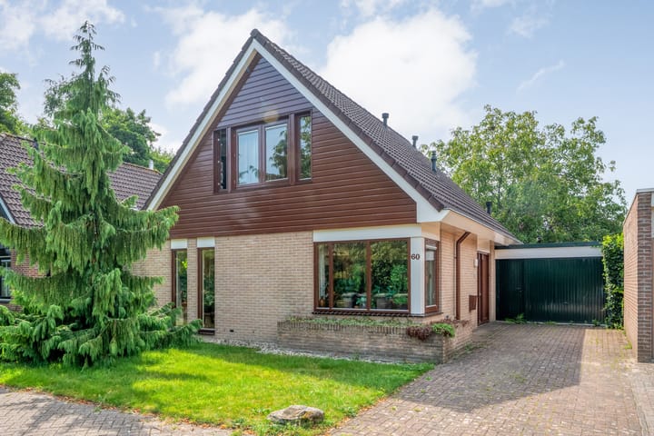 Foto 1 van De Plevier 60