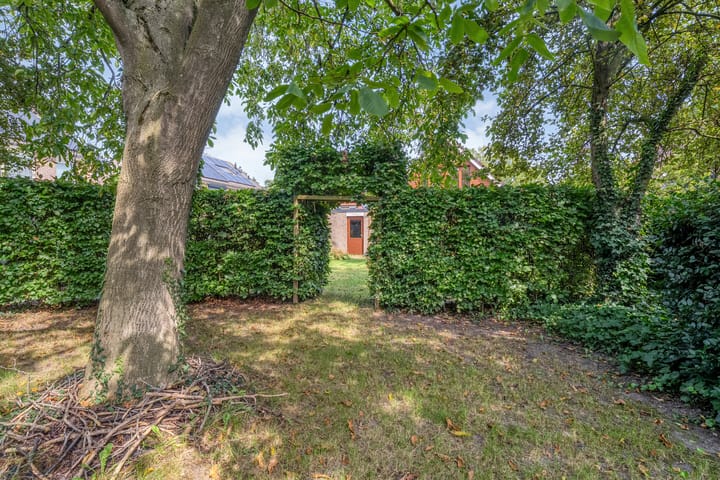 Foto 26 van De Plevier 60