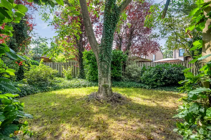 Foto 27 van De Plevier 60