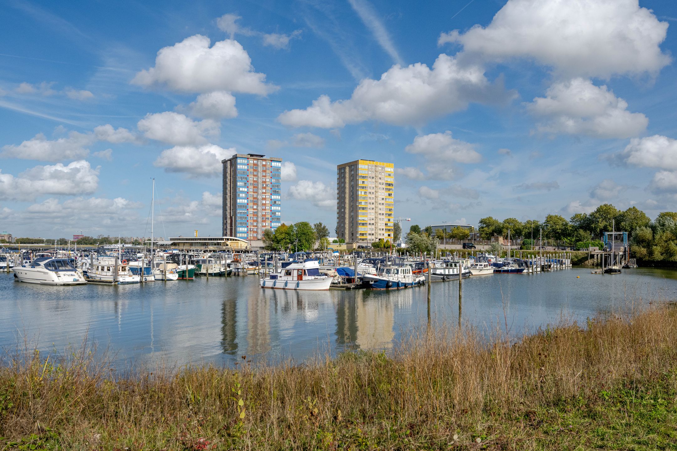 Regenboogkade, 115, Rotterdam, 3077CX, Zuid-Holland, Nederland 115 