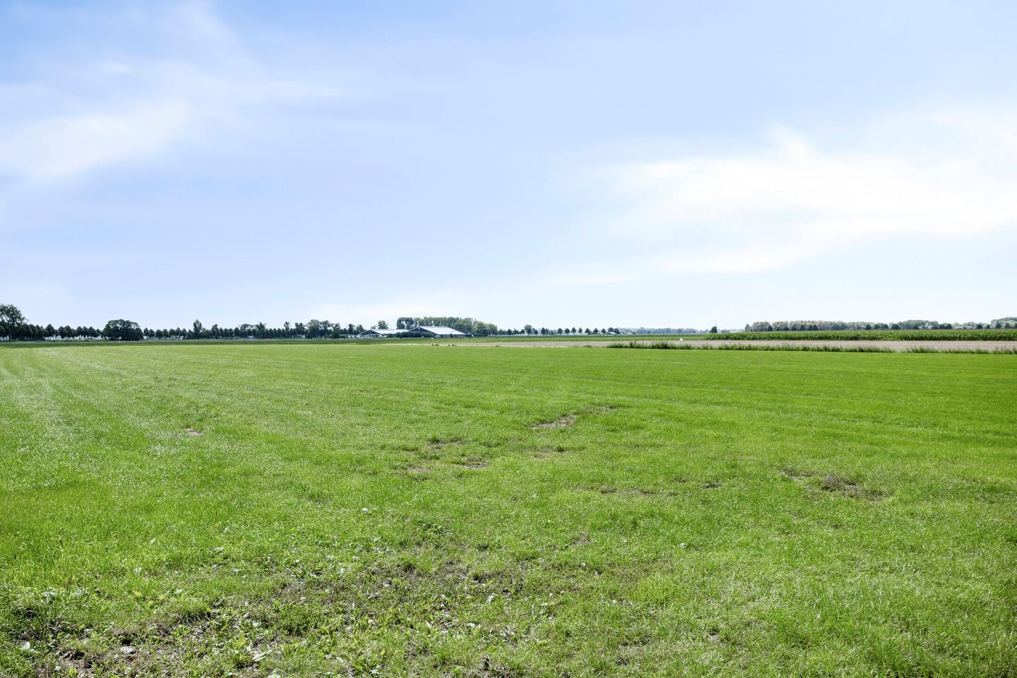 Foto 49 van Brugdam 13