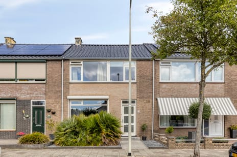 undefined main image