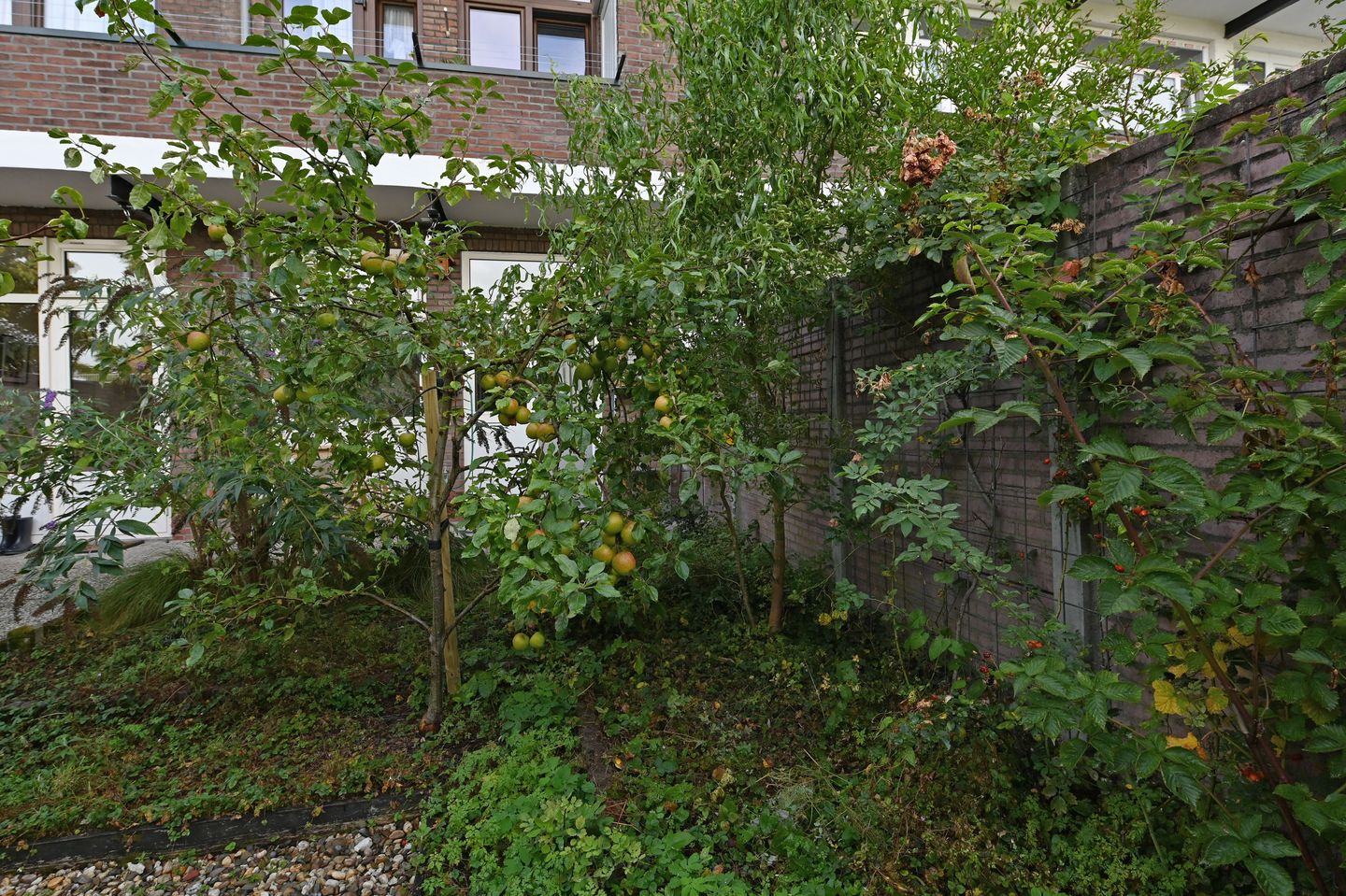 Foto 20 van Zuiderparklaan 322