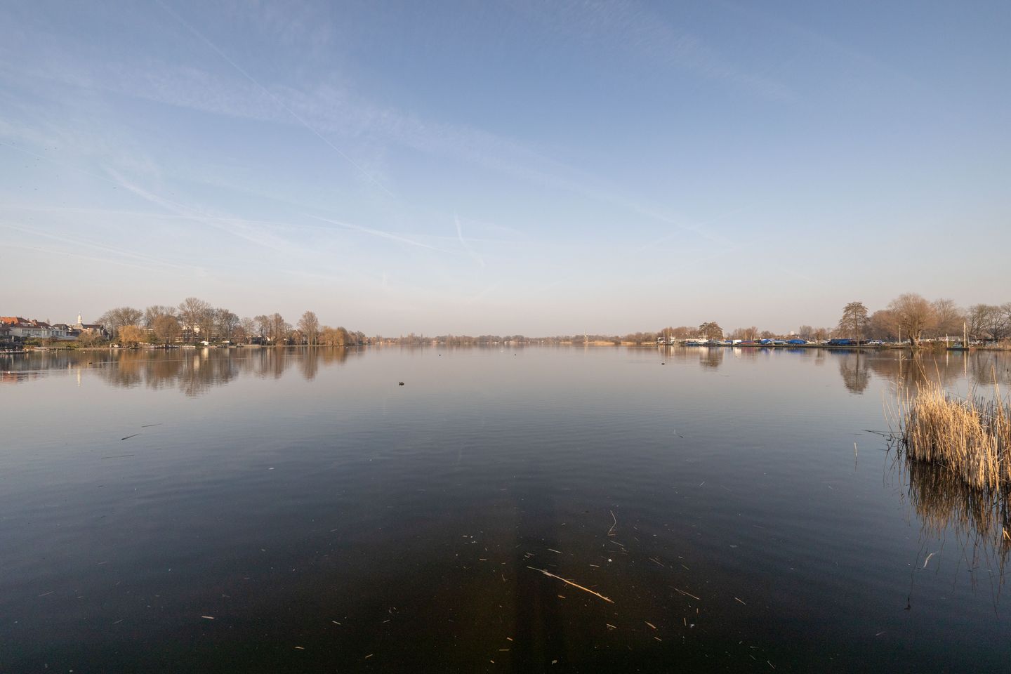 Foto 14 van Willem van Hillegaersbergstraat 141-C