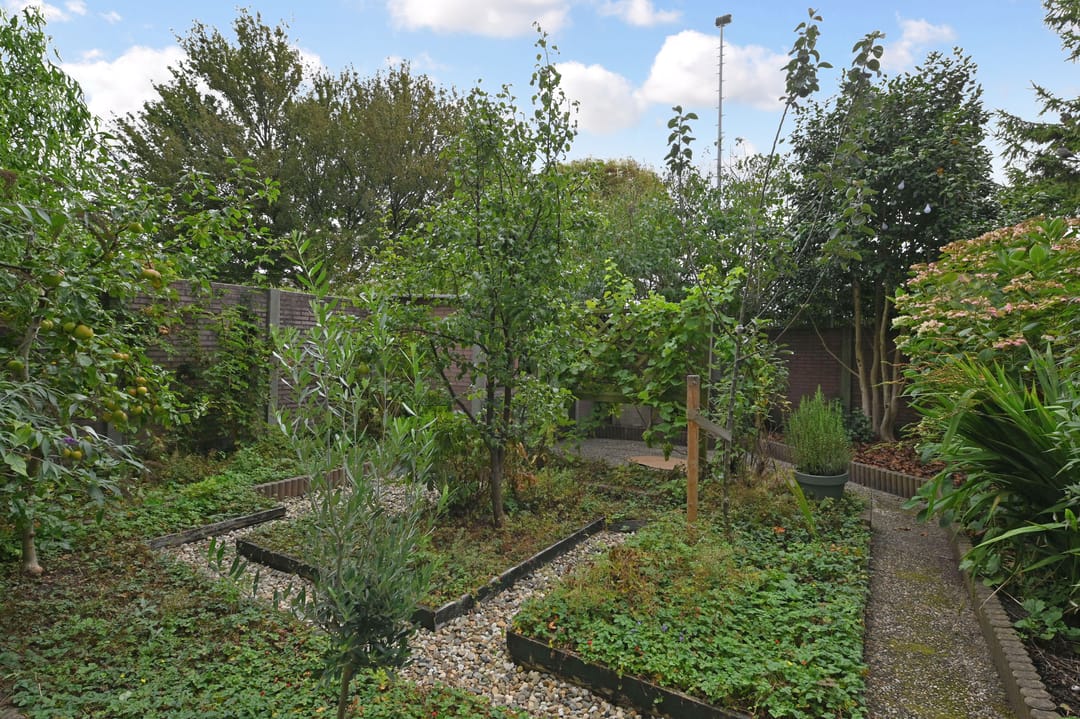 Foto 23 van Zuiderparklaan 322