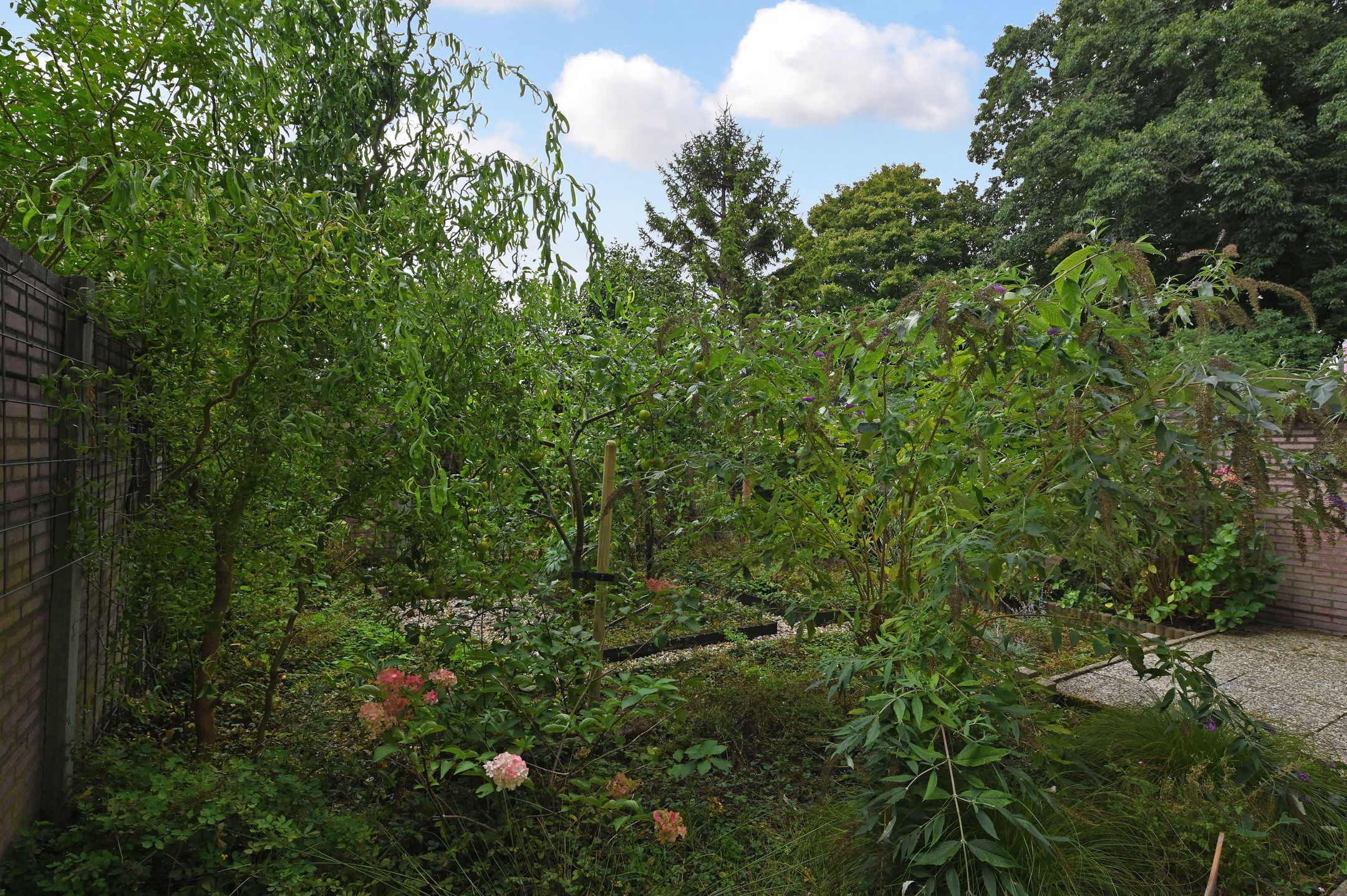 Foto 24 van Zuiderparklaan 322