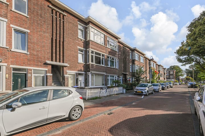 Foto 2 van Damasstraat 213