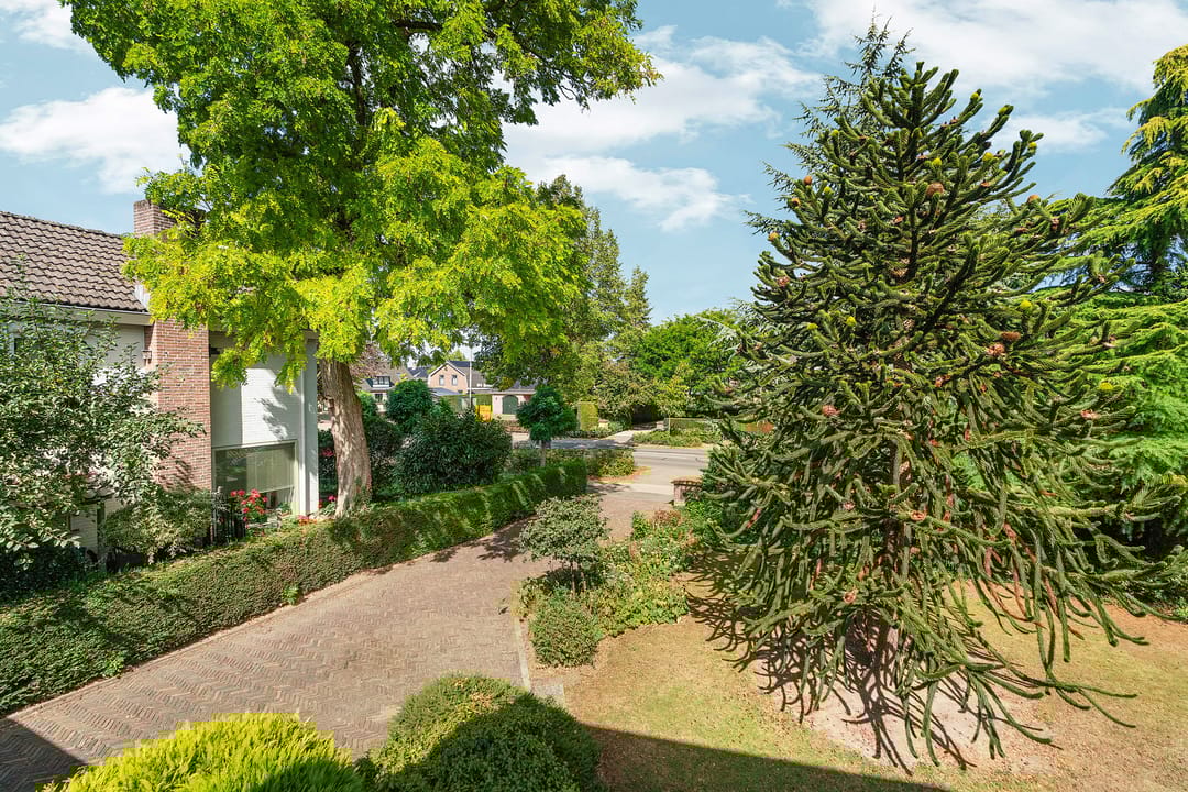 Foto 41 van Papenstraat 34