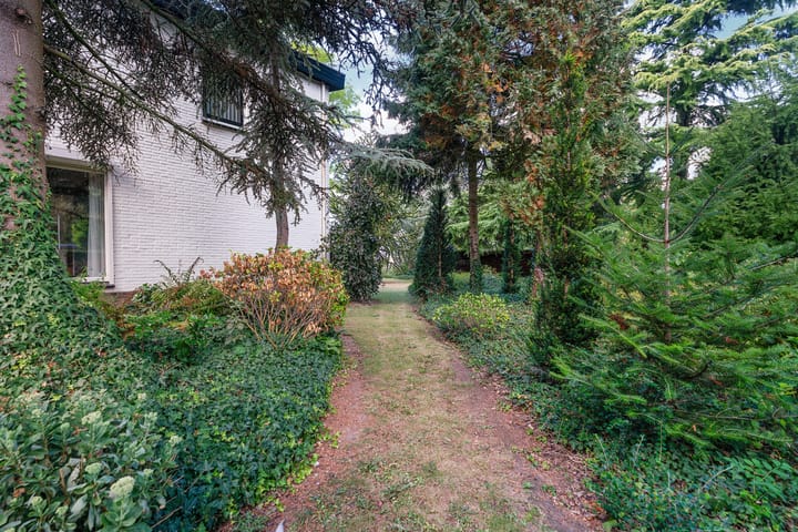 Photo 49 of Papenstraat 34