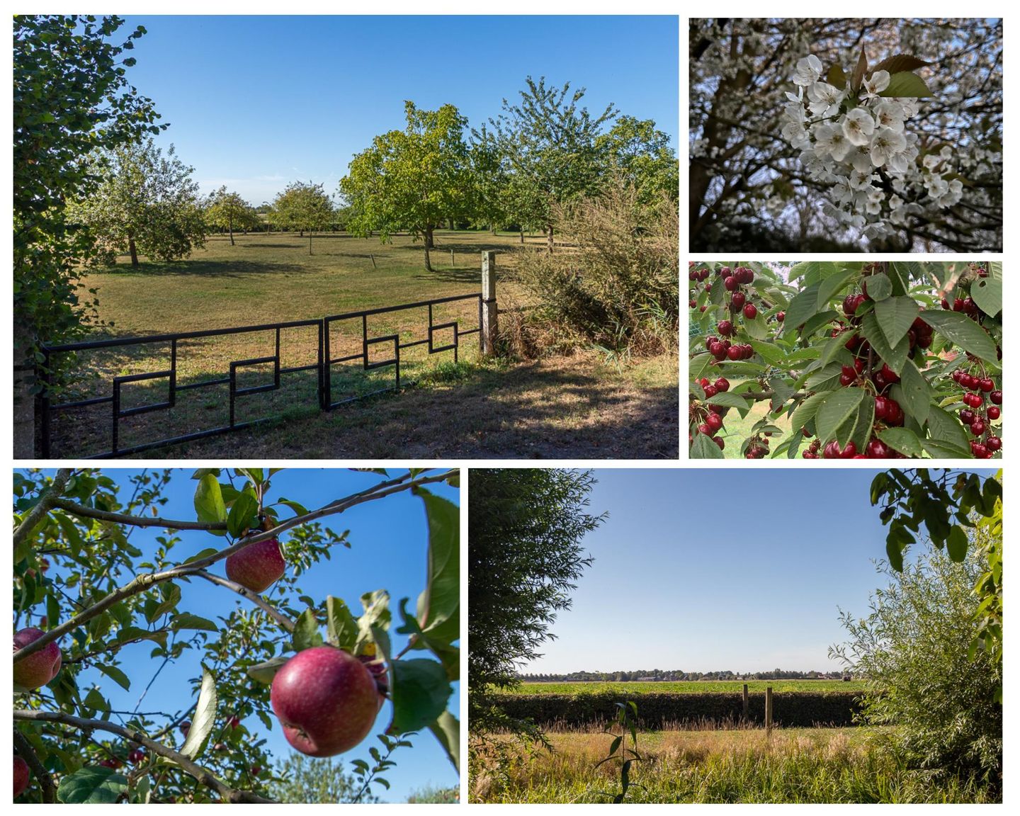 Foto 4 van Drogendijk ongenummerd