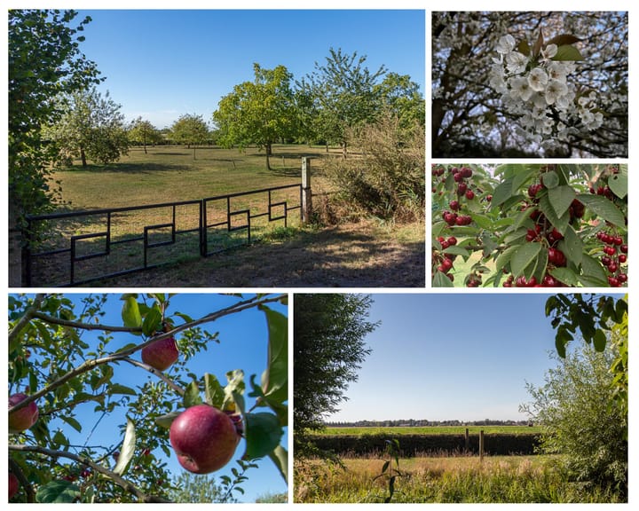 Photo 4 of Drogendijk ongenummerd