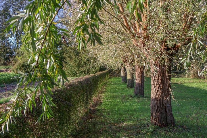 Foto 5 van Drogendijk ongenummerd