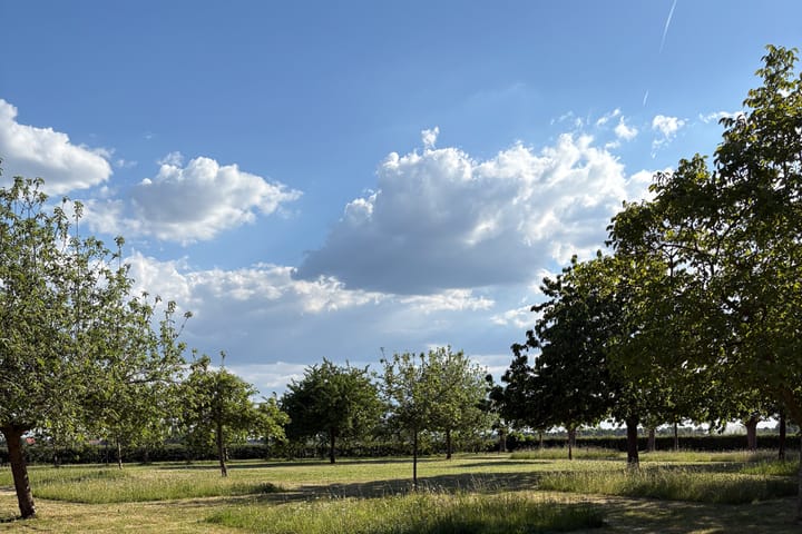 Foto 6 van Drogendijk ongenummerd