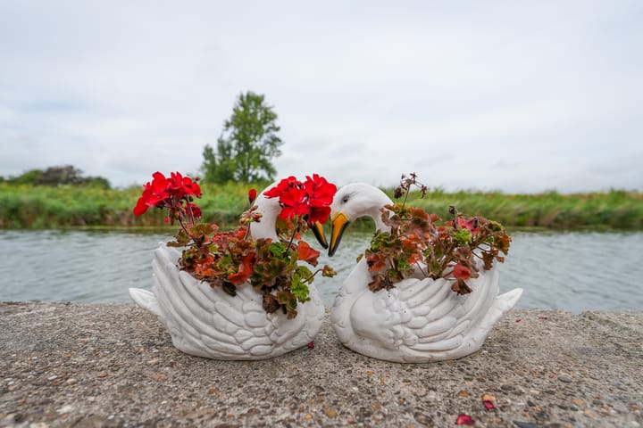 Foto 63 van Raadhuisstraat 29