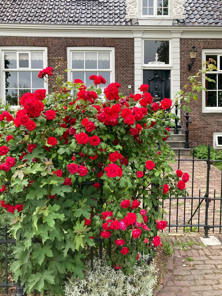 Foto 80 van Raadhuisstraat 29