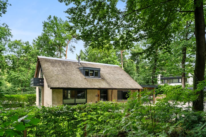 Photo 14 of Hollandseweg 141